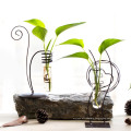 Hydroponics Plant Vase and Water culture glass vase